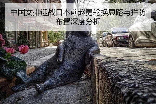 中国女排迎战日本前赵勇轮换思路与拦防布置深度分析